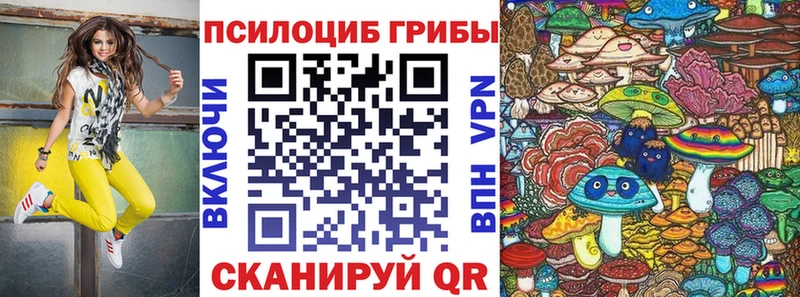 Галлюциногенные грибы Psilocybine cubensis  Купить  Десногорск 