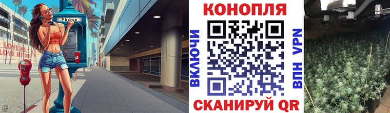 Купить где  Десногорск  Конопля сатива 